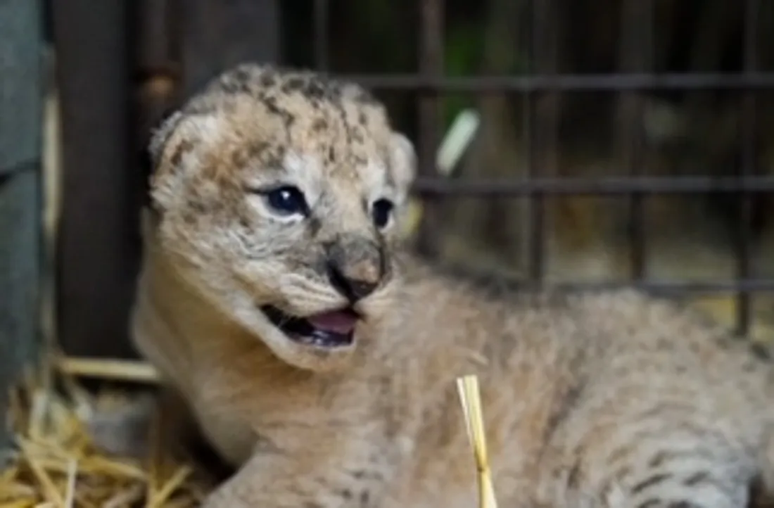 La bonne nouvelle de ce mois de septembre